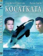 КОСАТКАТА